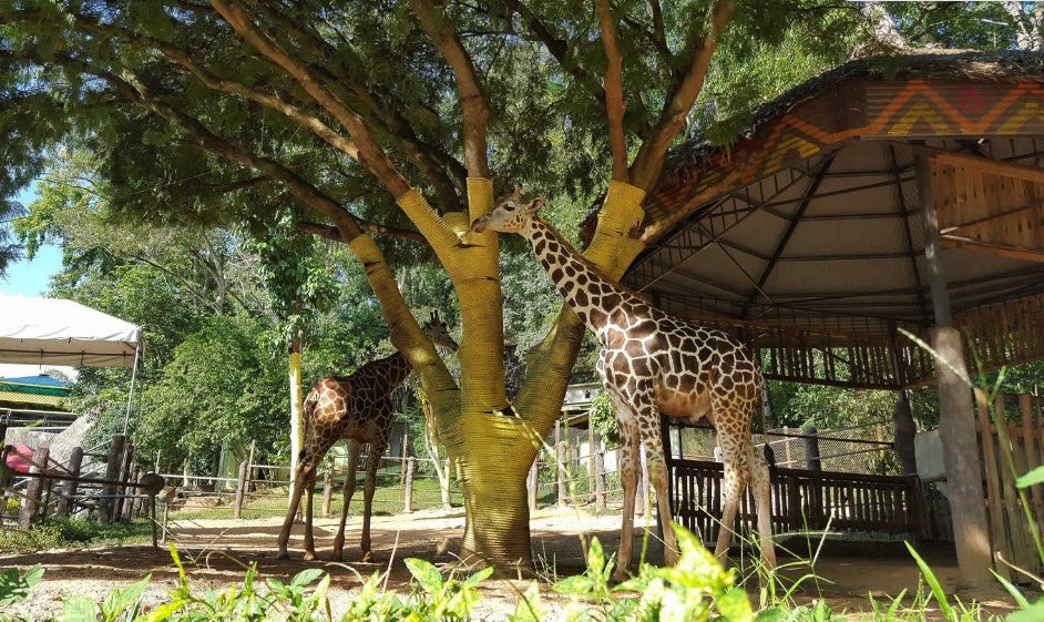 Emperor Valley Zoo, Port of Spain, Trinidad, Trinidad and Tobago